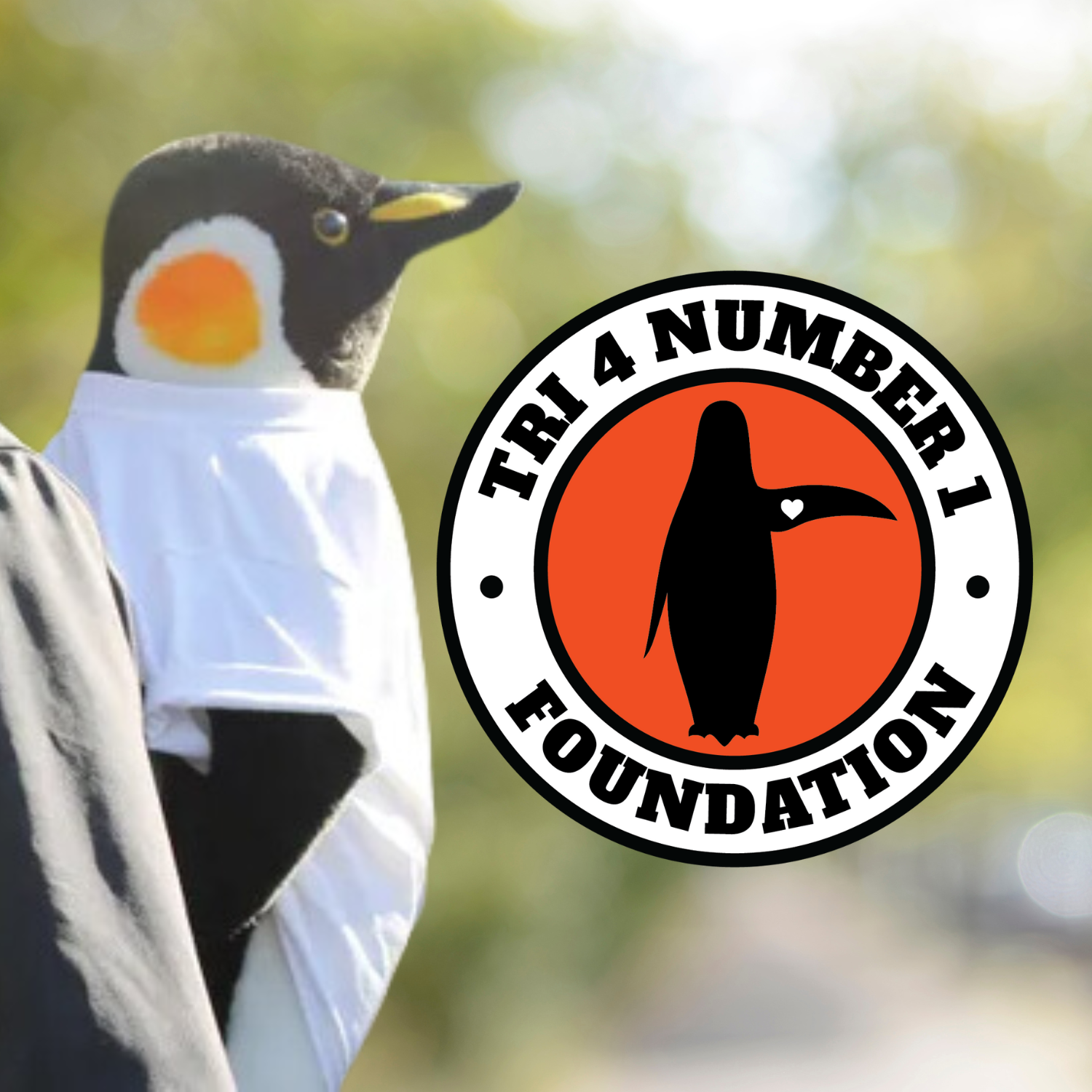 Tri 4 Number 1 Logo and photo of stuffed penguin circa 2024